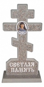 Модель P6